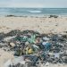 Identifica Unicaribe a las playas más contaminadas con plásticos 