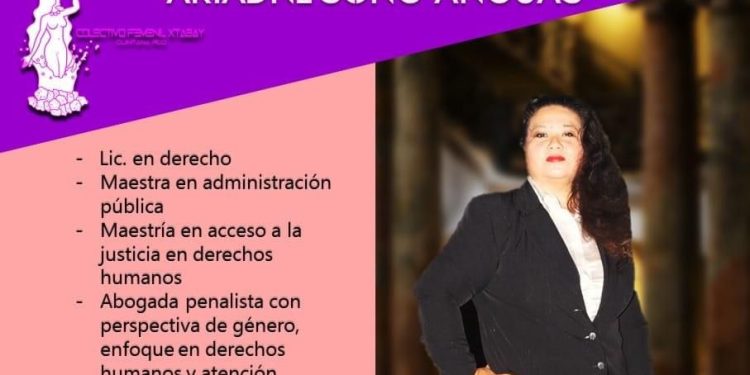 Piden Feministas terna ciudadana en elección de comisionada para atención a víctimas
