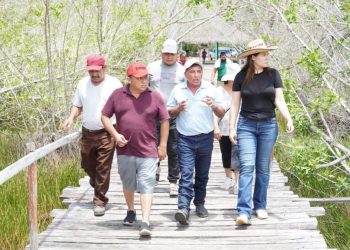 Desde la Cámara Federal apoyará Anahí González los proyectos para la Zona Maya