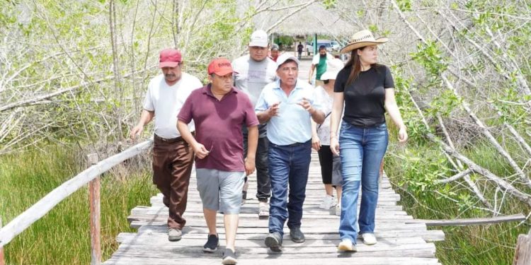 Desde la Cámara Federal apoyará Anahí González los proyectos para la Zona Maya