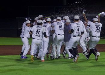 Tigres deja por tercera vez en campo a Leones