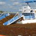 32 mil 200 toneladas de sargazo han recalado en costas de Quintana Roo