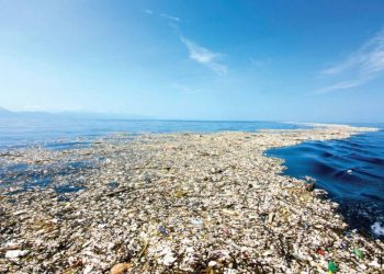 Exponen acciones ciudadanas para prevenir la contaminación marina