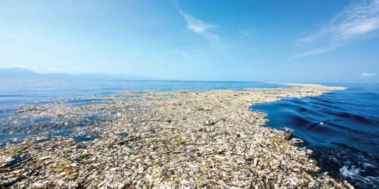 Exponen acciones ciudadanas para prevenir la contaminación marina