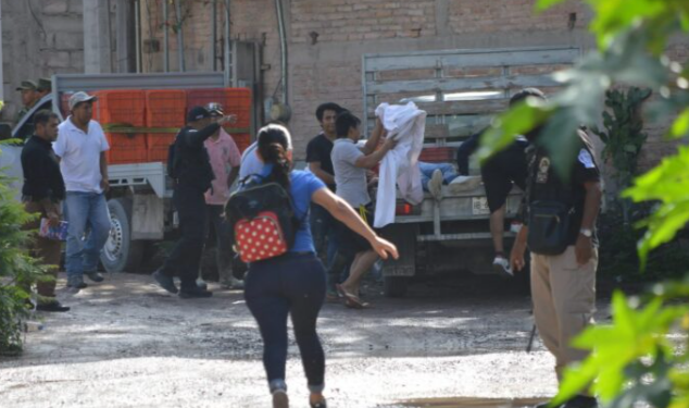 Ataque armado a granja de pollos deja cuatro empleados en Guerrero