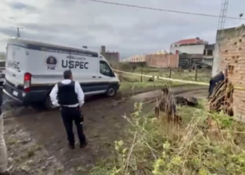 Hallan cinco cuerpos son vida en Morelia