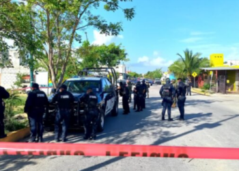 Hallan restos humanos en un contenedores de basura en Playa del Carmen