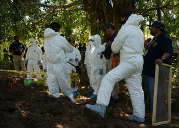 Hallan 14 cuerpos en fosas clandestinas de Michoacán