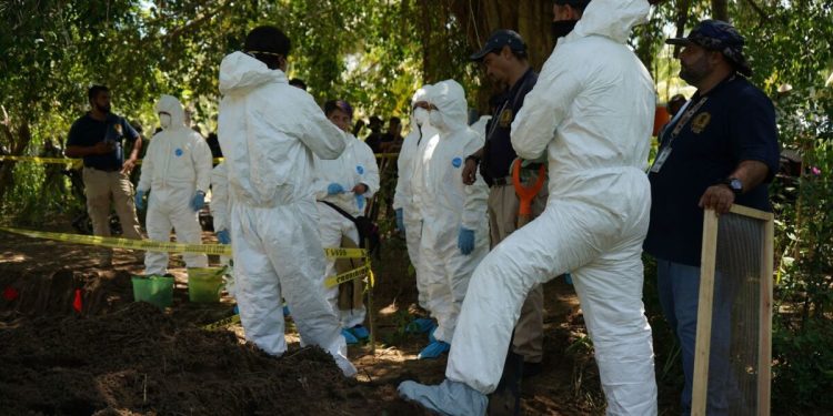Hallan 14 cuerpos en fosas clandestinas de Michoacán