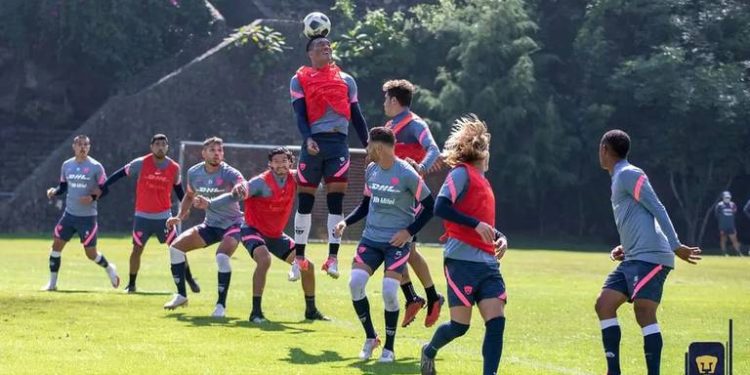 Regresan Pumas Tabasco a torneo de la Liga Expansión MX