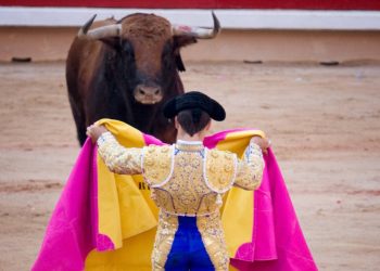 Juez ordena suspender las corridas de toros en la tradicional Plaza México