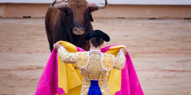 Juez ordena suspender las corridas de toros en la tradicional Plaza México