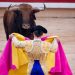 Juez ordena suspender las corridas de toros en la tradicional Plaza México