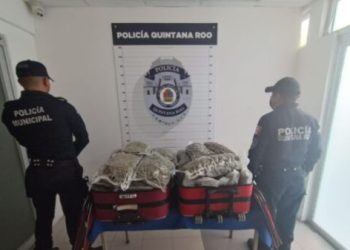Aseguran dos maletas con 47 paquetes con marihuana en la terminal de autobuses ADO