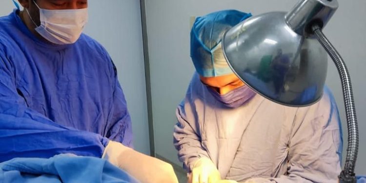 2022 mejor año del IMSS en Quintana Roo en procuración de órganos y tejidos