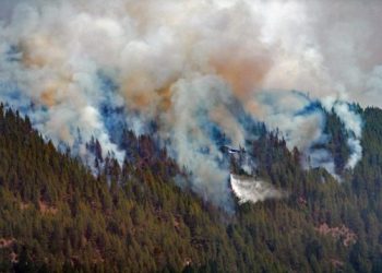 Se registran incendios en casi 100 mil hectáreas forestales en España