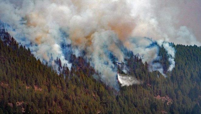 Se registran incendios en casi 100 mil hectáreas forestales en España