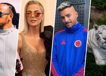 Conoce a los Famosos que hicieron donaciones al Santuario Black Jaguar-White Tiger