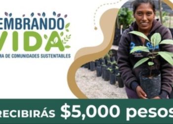 Secretaría de Bienestar dispersa más de 2 mil mdp en pagos de Sembrando Vida