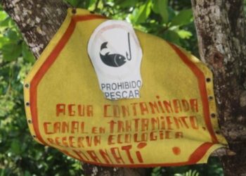 Denuncian abandono de la reserva ecología de la Laguna Manatí en Cancún