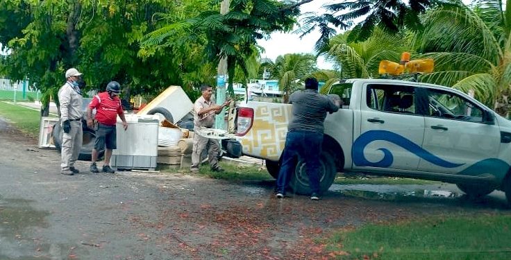Eliminar los criaderos del mosquito Aedes Aegypti reduce el riesgo de transmisión del dengue, zika y chikungunya