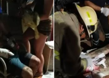 Turistas estadounidenses resultan gravemente heridos tras ser atacados por un cocodrilo en Puerto Vallarta