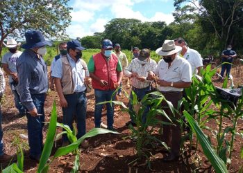 Se suma Quintana Roo a la de Península de Yucatán para impulsar el registro de Milpa Maya ante la FAO: Carlos Joaquín