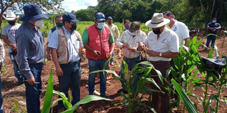 Se suma Quintana Roo a la de Península de Yucatán para impulsar el registro de Milpa Maya ante la FAO: Carlos Joaquín