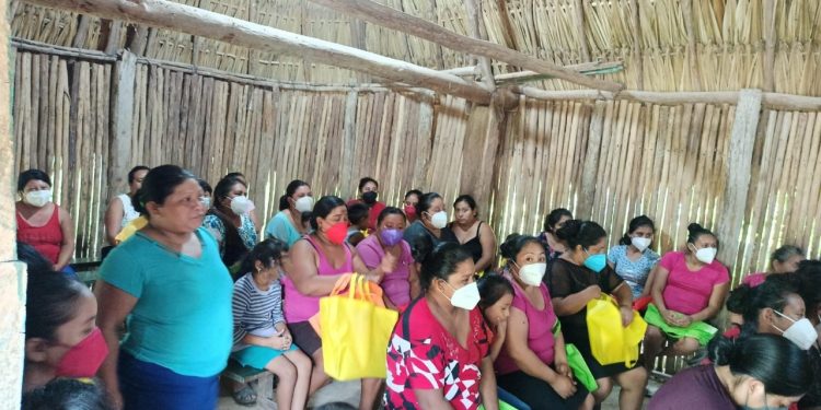 Impulso a emprendimientos productivos de mujeres rurales: IQM