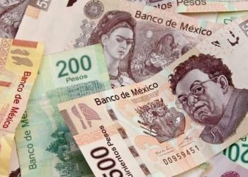 Primer semestre del año solo sirvió para pagar deudas: CROC