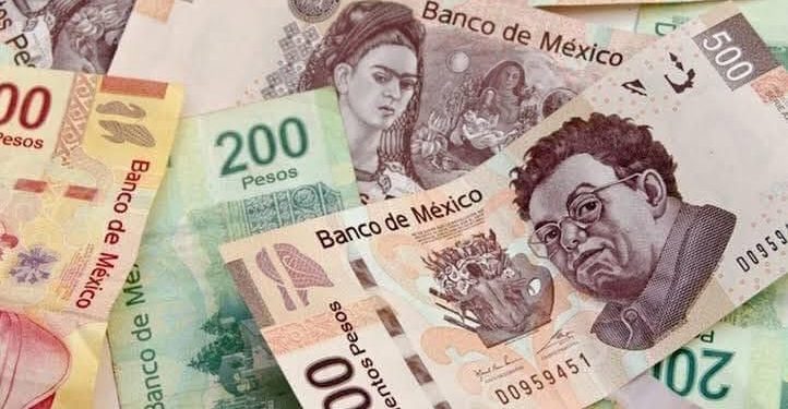 Primer semestre del año solo sirvió para pagar deudas: CROC