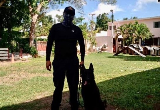 Entregan certificación de manejo de caninos antinarcóticos a dos elementos de SSPC de Tulum