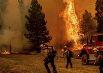 Más de 4 mil hectáreas afectadas son el saldo que lleva el incendio del parque Yosemite de California