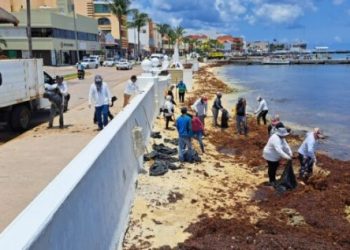 ZOFEMAT implementará más cuadrillas para la recolección de sargazo en Cozumel