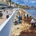 ZOFEMAT implementará más cuadrillas para la recolección de sargazo en Cozumel