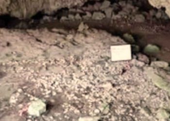INAH registra más de seis mil monumentos arqueológicos hallados en ruta del Tren Maya