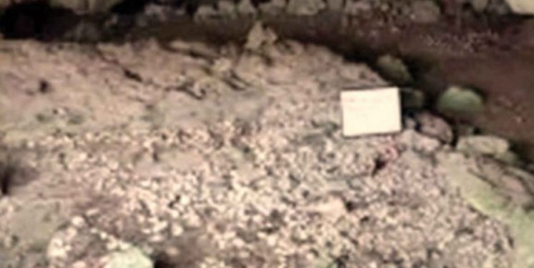 INAH registra más de seis mil monumentos arqueológicos hallados en ruta del Tren Maya