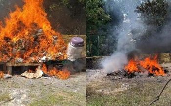 FGR realiza incineración de narcóticos en Quintana Roo