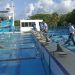 Arrancó el Campeonato Estatal de Natación Curso Largo 2022 en la Alberca Olímpica de Cancún