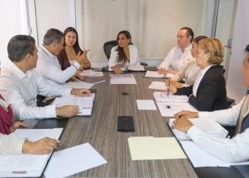 Proceso de entrega – recepción indicador sistema en línea