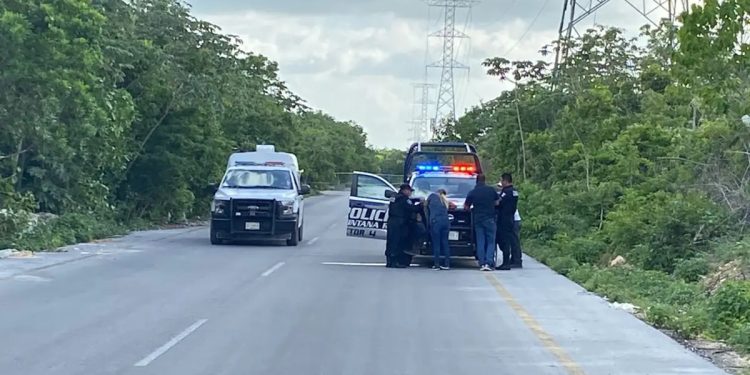 Localizan restos humanos en la prolongación avenida Niños Héroes