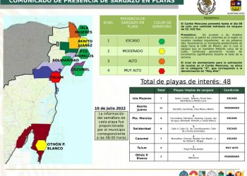 Tulum y Mahahual donde se tiene focos rojos en arribo de sargazo