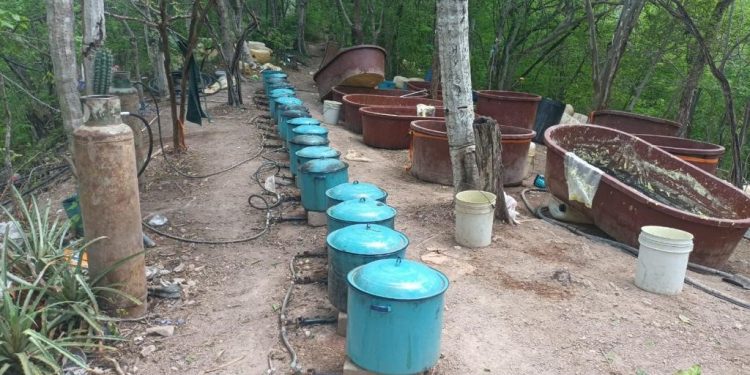 Ejército Mexicano asegura 750 kilogramos de metanfetamina en un laboratorio clandestino localizado en Sinaloa