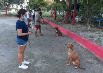 Área canina de Bomberos imparte cursos de adiestramiento para mascotas