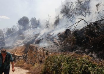 Ola de calor sigue aumentando en el continente Europeo, quemando miles de hectáreas
