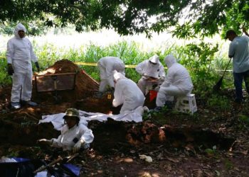 Encuentran 11 cadáveres en fosas clandestinas de Uruapan