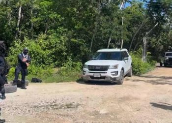 Hallan restos humanos correspondientes a por lo menos tres personas al sur de Playa del Carmen