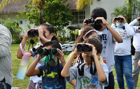 “Chipes Mangleros de Cozumel” de la FPMC registraron 13 especies de aves en San Gervasio