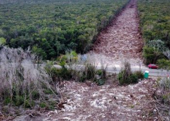 Adrián Novelo concede 2a suspensión definitiva contra el Tramo 5 Sur del Tren Maya