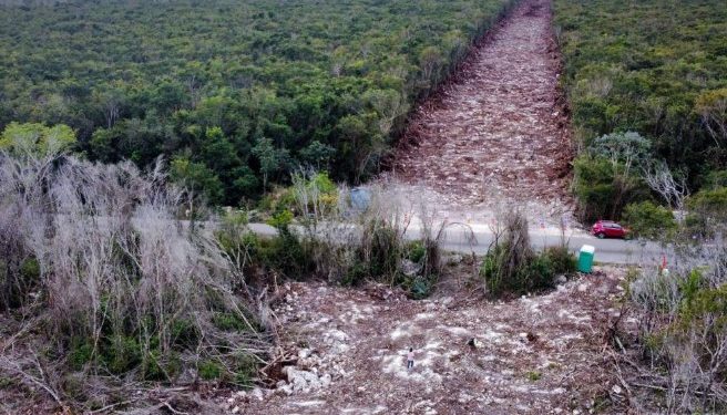 Adrián Novelo concede 2a suspensión definitiva contra el Tramo 5 Sur del Tren Maya